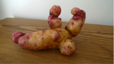 potato